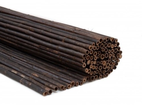 Bamboe rolscherm Black | 180cm | 30mm