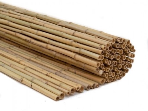 Bamboe rolscherm Dalian | 180cm