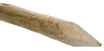 Boompaal | Vuren | geschild | gepunt