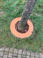 Cortenstaal boomring 