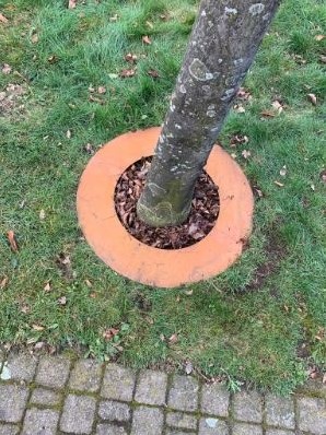 Cortenstaal boomring 