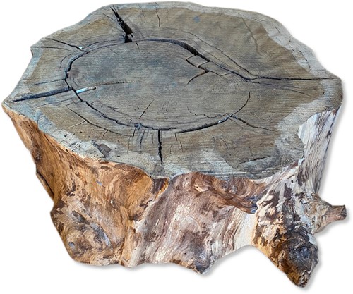 Boomstam salontafel | Eik | diameter 52-57cm | hoogte 29cm | S06