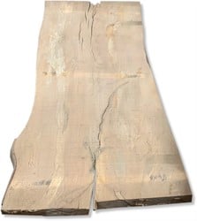 Boomstamblad | Beuk | 250cm lang | 9.5cm dik |  B16