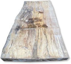 Boomstamblad | Beuk | 240cm lang | 10cm dik | B41
