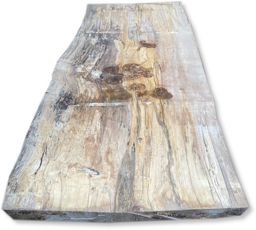 Boomstamblad | Beuk | 240cm lang | 10cm dik | B41