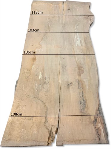 Boomstamblad | Beuk | 250cm lang | 10cm dik | N08-2