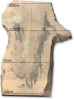 Boomstamblad | Beuk | 252cm lang | 8cm dik | M02-2