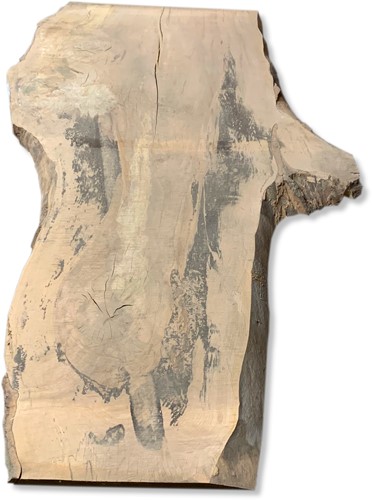 Boomstamblad | Beuk | 252cm lang | 8cm dik | M02