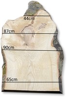 Boomstamblad | Es | 239cm lang | 5cm dik | E13-2