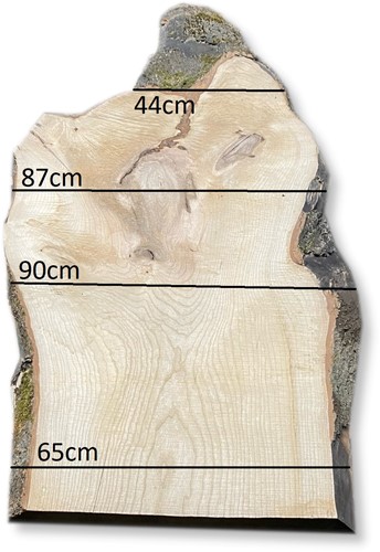 Boomstamblad | Es | 239cm lang | 5cm dik | E13-2