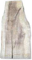 Boomstamblad | Es | 242cm lang | 8cm dik | E11