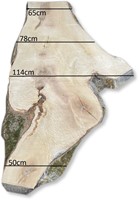 Boomstamblad | Es | 255cm lang | 8cm dik | E02-2