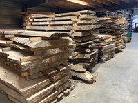 Boomstamblad | Es | 255cm lang | 8cm dik | E02-3