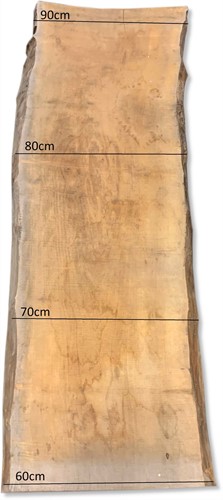Boomstamblad | Plataan | 250cm lang | 10cm dik |  M10-2