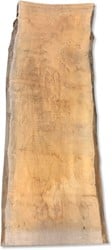 Boomstamblad | Plataan | 250cm lang | 10cm dik |  M10