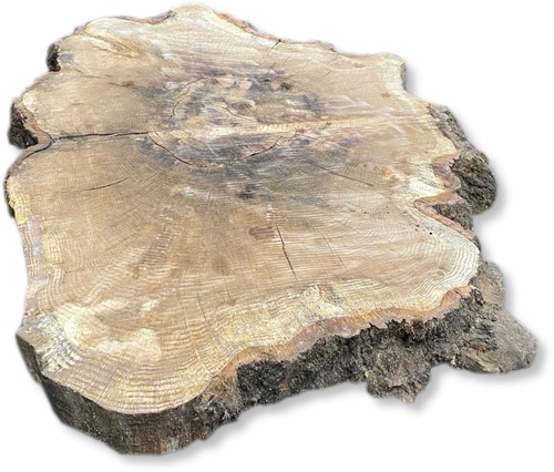 Boomstamblad Rond | Eik | Ø128cm | 10cm dik | R04