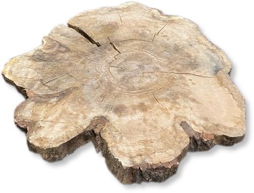 Boomstamblad Rond | Eik | Ø128cm | 8cm dik | R16