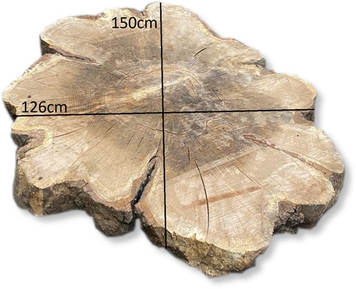 Boomstamblad Rond | Eik | Ø138cm | 12cm dik | R15-2