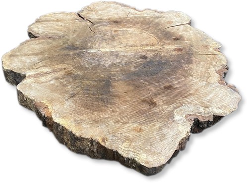 Boomstamblad Rond | Eik | Ø138cm | 12cm dik | R05