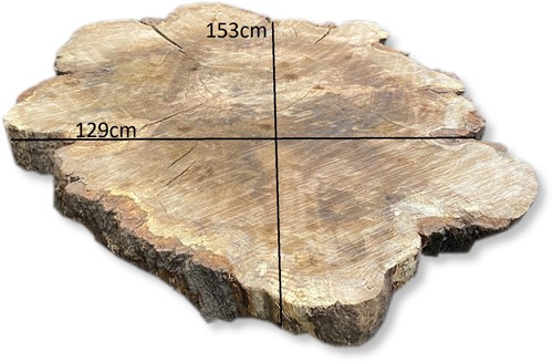 Boomstamblad Rond | Eik | Ø141cm | 12cm dik | R06-2