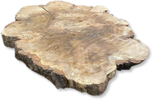 Boomstamblad Rond | Eik | Ø141cm | 12cm dik | R06