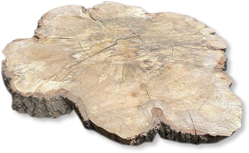 Boomstamblad Rond | Eik | Ø149cm | 10cm dik | R07