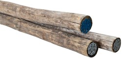 Cloeziana paal | diameter 12-14cm | FSC100%