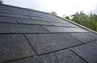 Dakshingles per pak | zwart