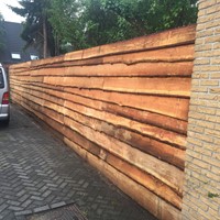 Schaaldeel Douglas | 25-30cm breed | L-2
