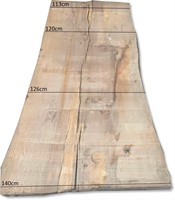 Boomstamblad | Beuk | 250cm lang | 10cm dik | N13-2