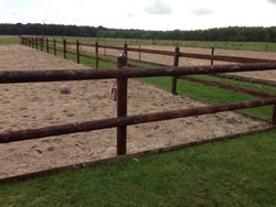 Paardenbak