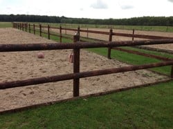 Paardenbak