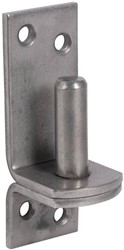 Plaatduim | 45x6mm | RVS