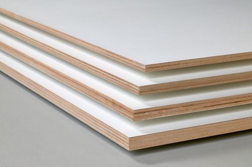Populieren Multiplex | 250x122cm | wit gegrond