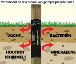 Postsaver | Paalbescherming