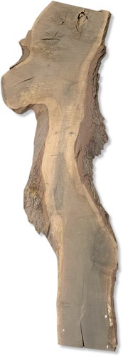 Boomstamblad | Eik | 306cm lang | 4.5cm dik | B01