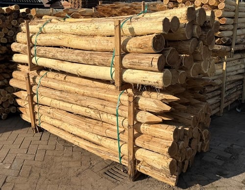 Robinia paal | diameter 12-14cm -2