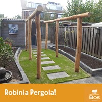 Robinia geschild | diameter 14-16cm | 2.50m | gepunt | FSC100%-2