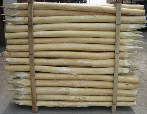 Robinia paal | diameter 6-8cm | 3.00m | gepunt | FSC100%-3