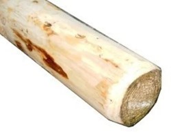 Rondhout Vuren 
