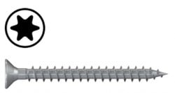 Schroef | RVS | torx