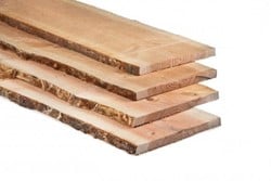 Douglas schaaldeel | 17-20cm breed | S