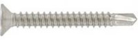 Schroef | Zelftapper | 4.8x38mm | torx | per stuk