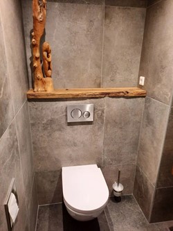 Toiletplanken